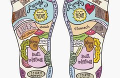 Amy Zaleski Reflexology Foot Map Cover