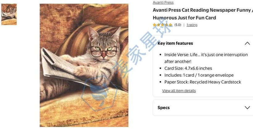 Avanti Press Copyright Cat Reading Newspaper on Ebay