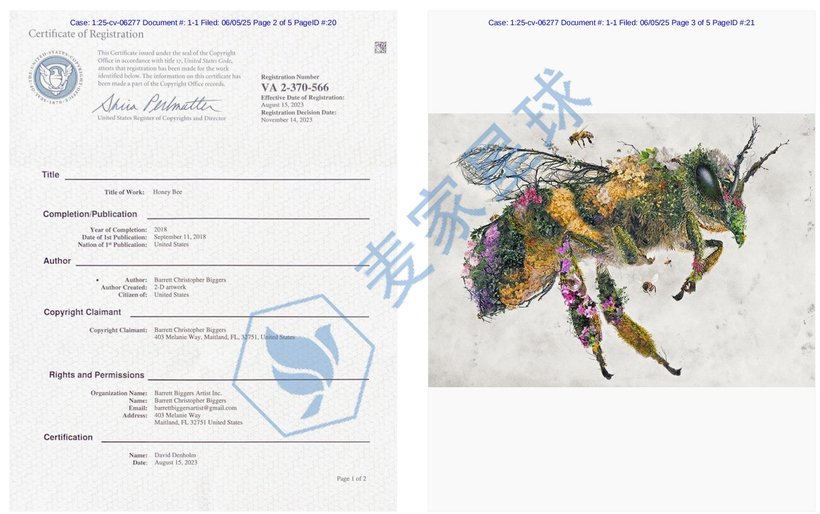 Barrett Christopher Biggers Copyrights1