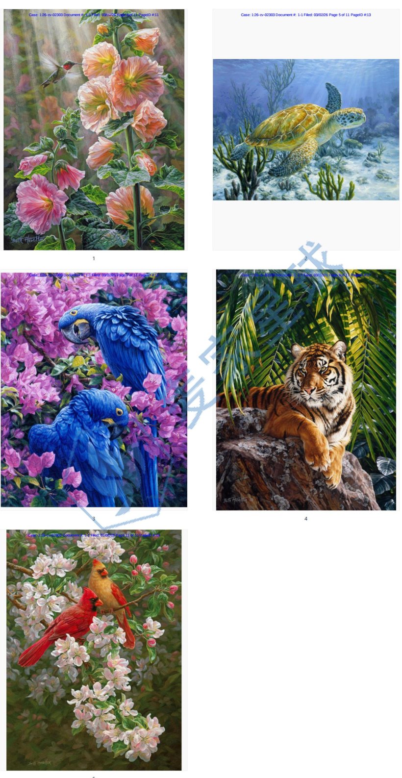 Beth Hoselton-Gray Copyrights