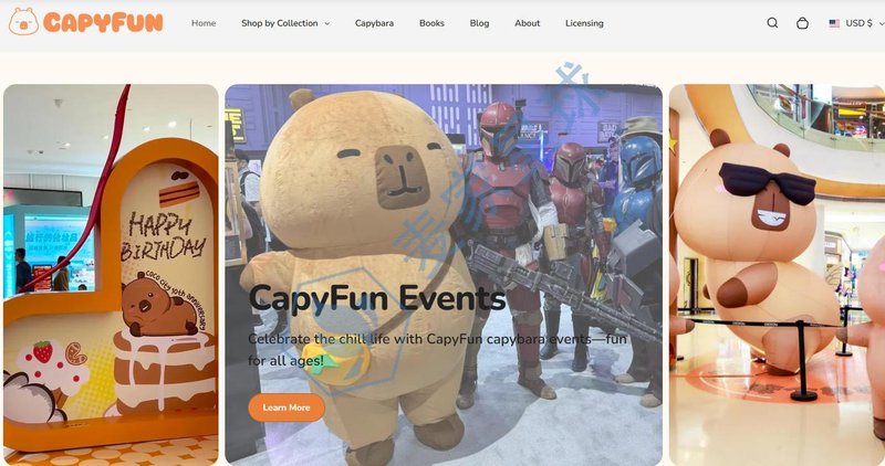 CAPYFUN WEBSITE