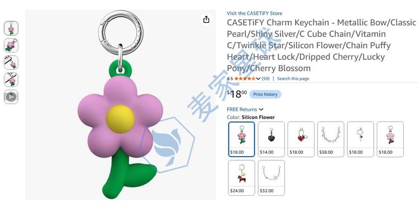 CASETIFY Charm Keychain