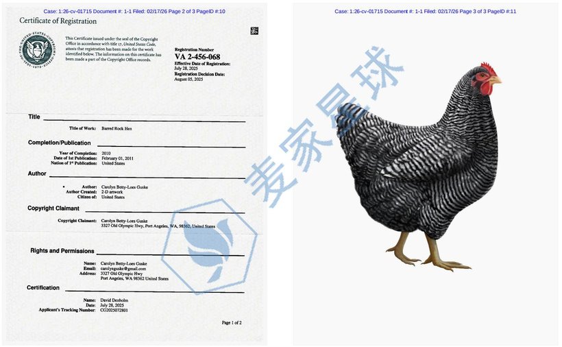 Carolyn Betty-Loes Guske Barred Rock Hen Copyright