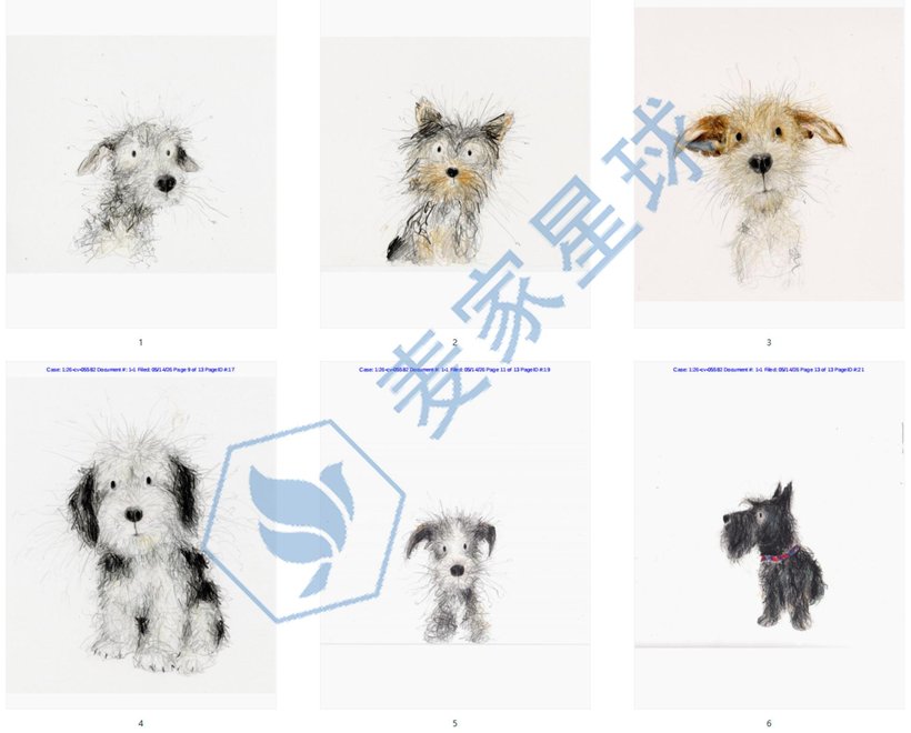 Catherine Frances Rayner Dogs