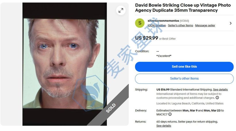 David Bowie Striking Close up Vintage Photo