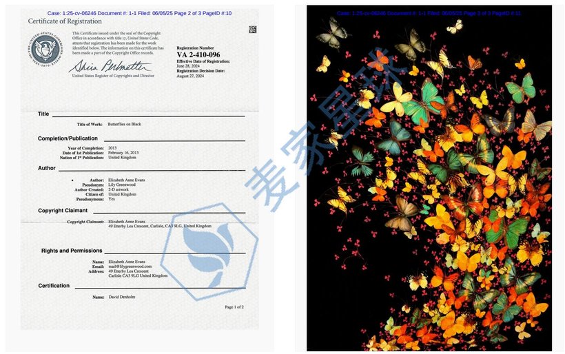 Elizabeth Anne Evans Copyrights1