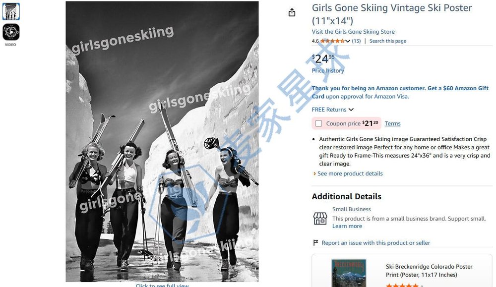 Girls Gone Skiing Product