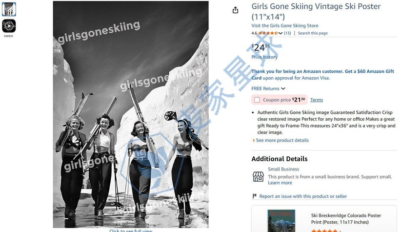 Girls Gone Skiing Product