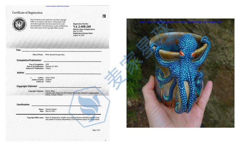 Gulcin Afkan Copyrights