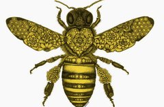 Honey Bee Copyright VA 2-429-529 cOVER