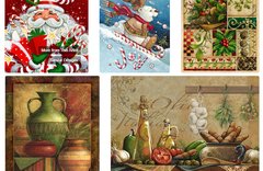 Janet Stever Cover