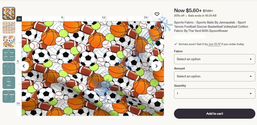 Janna Salak Copyrights Infringement