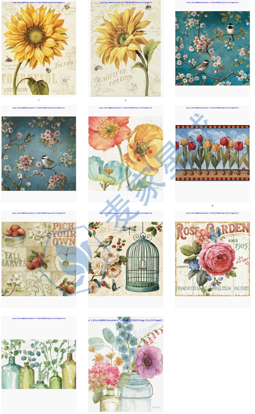 Lisa Audit Copyrights