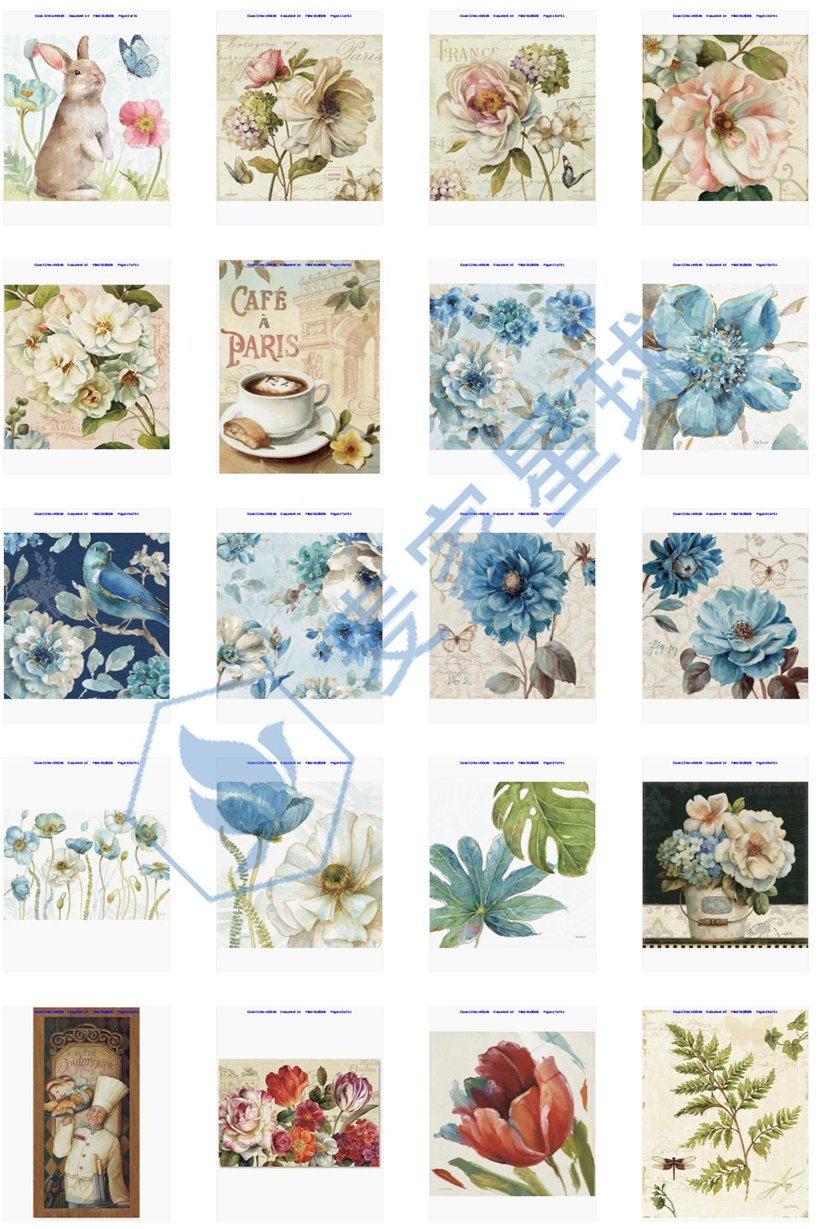 Lisa Audit Copyrights2