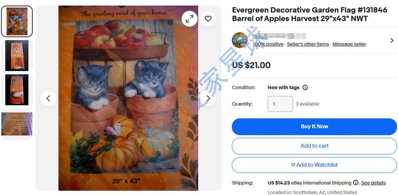 Little Punkins-Cats