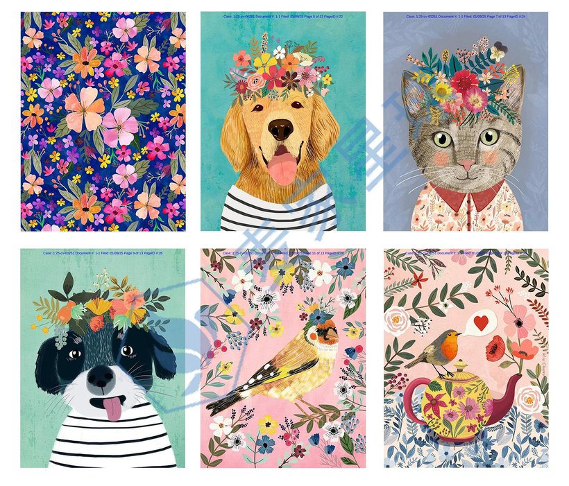 Maria Isabel Alvarez Charro_Copyright