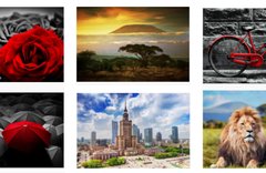 Michal Bednarek Copyrights Cover