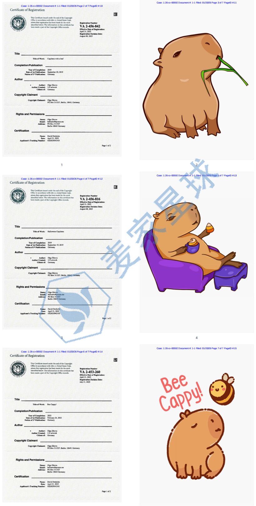 Olga Zikova Copyrights