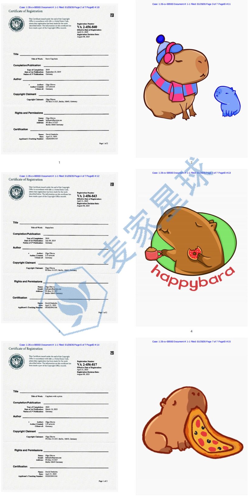 Olga Zikova Copyrights2