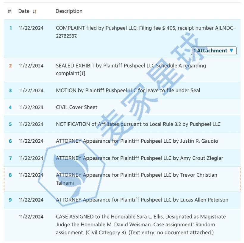 Pushpeel LLC Copyright 24-cv-12059
