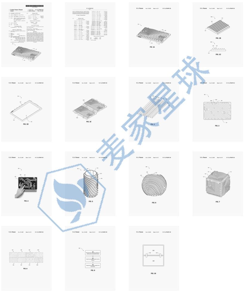 Pushpeel Patent 12478892