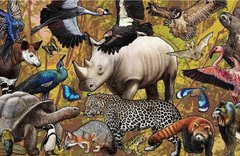 Roger Hall Copyrights Cover