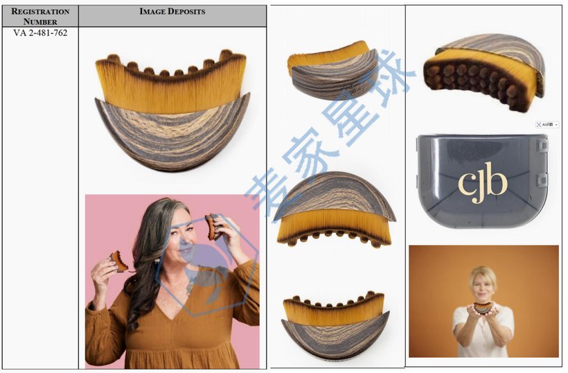 The Lymphatic Brush Copyright