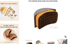 The Lymphatic Brush Cover