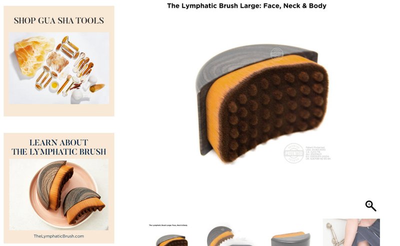 The Lymphatic Brush Cover