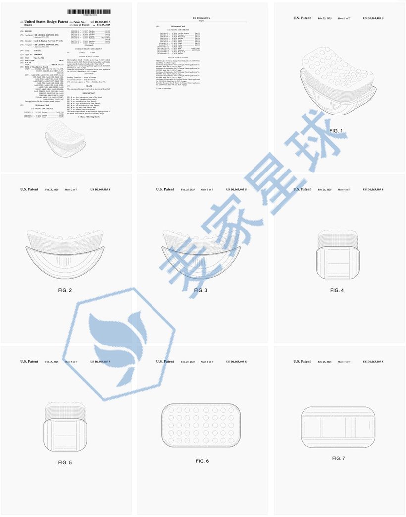 The Lymphatic Brush Patent D1063405