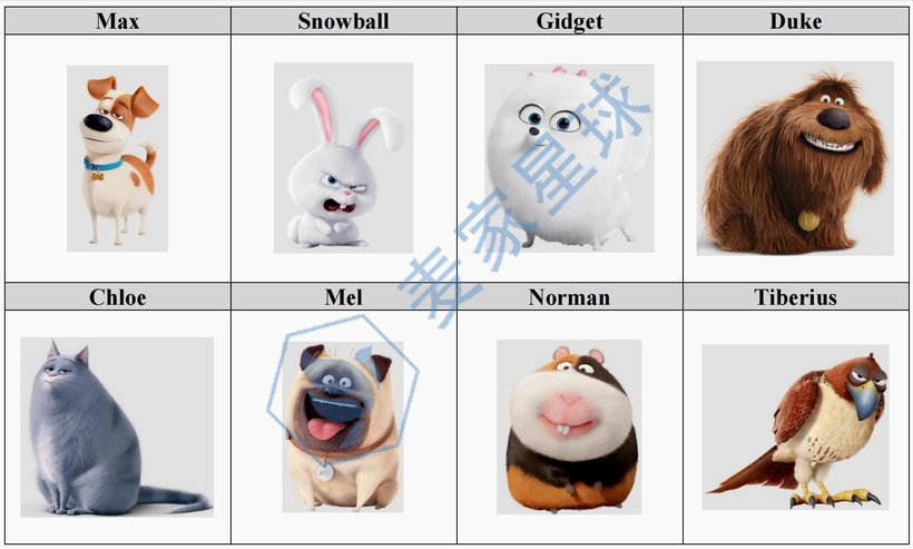 The Secret Life of Pets - all pets