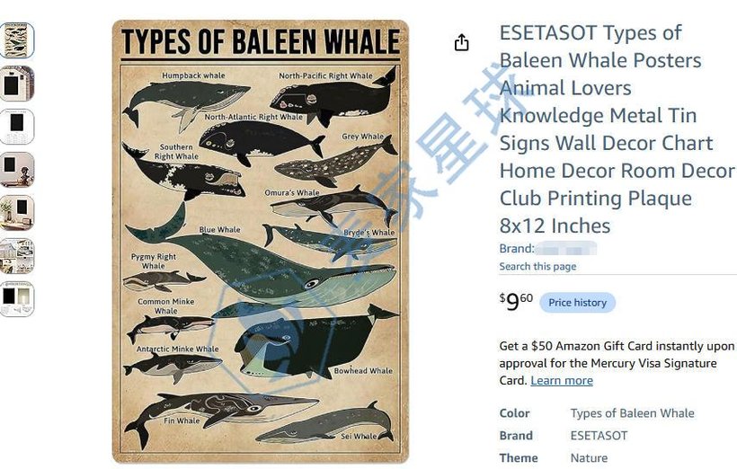 Types of Baleen Whale Posters