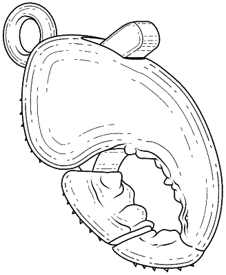 USD1052444-20241126-D00000