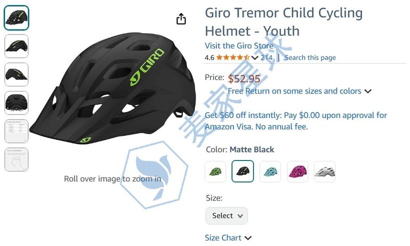 giro trademark helmet