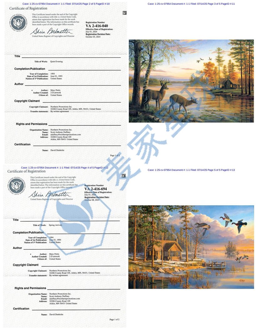 ilnd-1_2025-cv-07954-00001-001_021