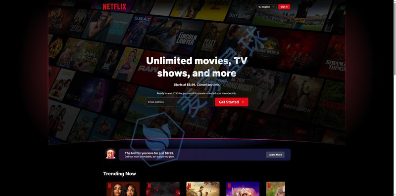 netflix cover