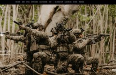 sig sauer cover