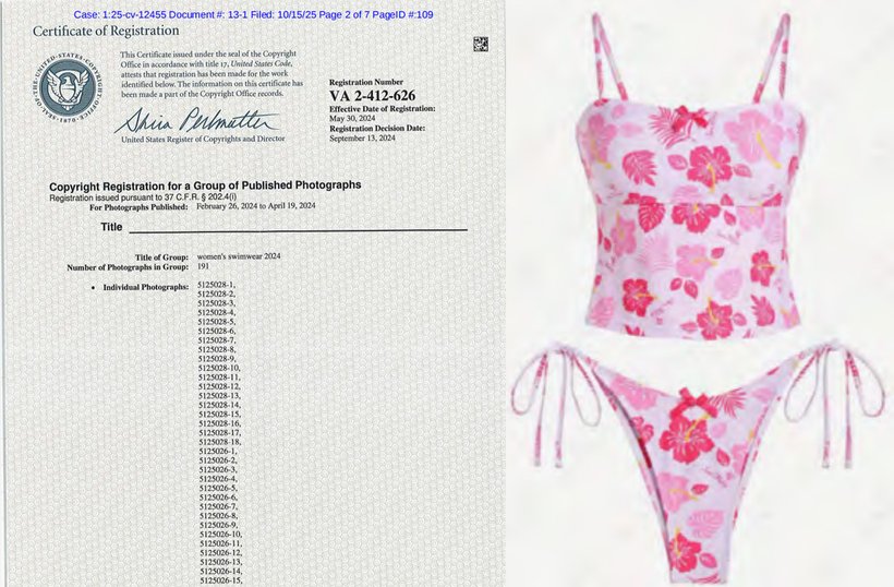 wumei lin women underwear copyrights